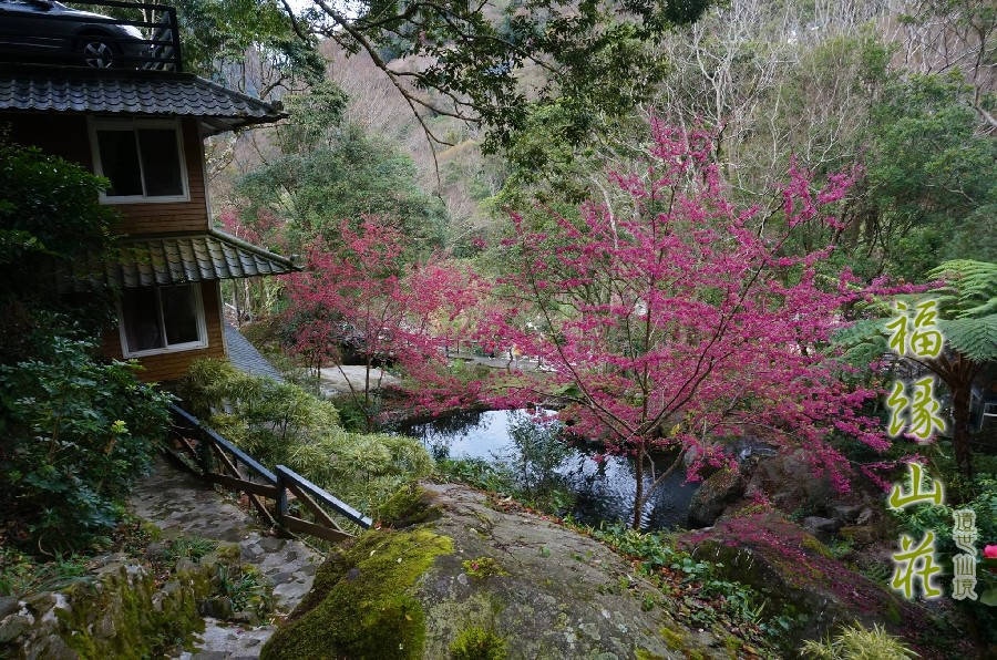 Fuyam Tourist Home | Lala Mountain | 台灣拉拉山民宿福緣山莊