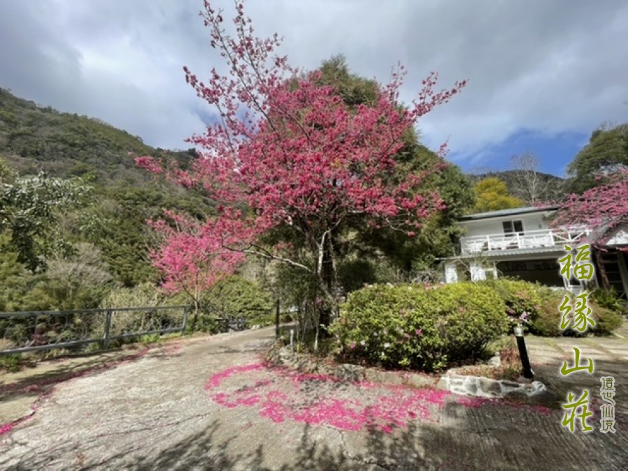 Fuyam Tourist Home | Lala Mountain | 台灣拉拉山民宿福緣山莊