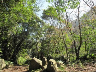 Fuyam surrounding | Photographs | Taiwan Fuyam Tourist Home | Lala Mountain  | R-1-25053174852.jpg