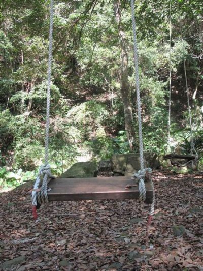 Fuyam surrounding | Photographs | Taiwan Fuyam Tourist Home | Lala Mountain  | R-1-25053174906.jpg