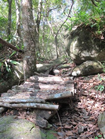 Fuyam surrounding | Photographs | Taiwan Fuyam Tourist Home | Lala Mountain  | R-1-25053174919.jpg