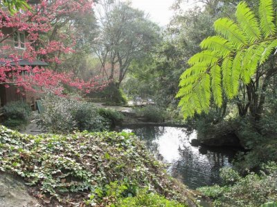Fuyam surrounding | Photographs | Taiwan Fuyam Tourist Home | Lala Mountain  | R-1-25053175005.jpg