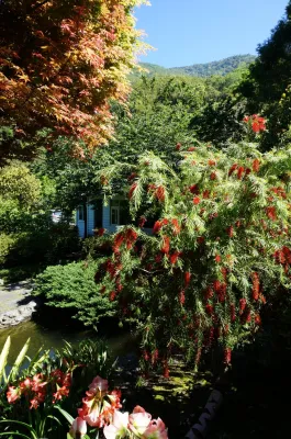 Fuyam surrounding | Photographs | Taiwan Fuyam Tourist Home | Lala Mountain  | R-1-26058123351.webp
