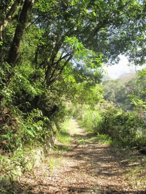 Fuyam surrounding | Photographs | Taiwan Fuyam Tourist Home | Lala Mountain  | R-1-26058123506.webp
