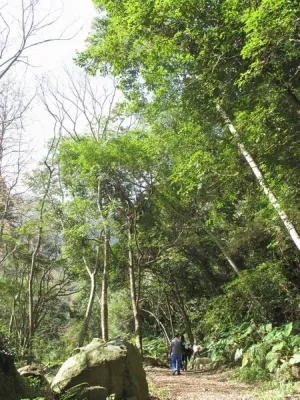 Fuyam surrounding | Photographs | Taiwan Fuyam Tourist Home | Lala Mountain  | R-1-26058123824.webp