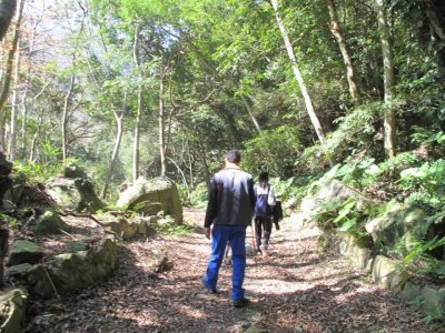 Delightful time  | Photographs | Taiwan Fuyam Tourist Home | Lala Mountain  | R-10-25052741341.jpg