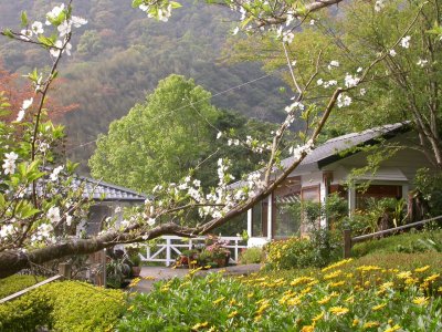 Fuyam Four seasons | Photographs | Taiwan Fuyam Tourist Home | Lala Mountain  | R-4-25051231537.jpg