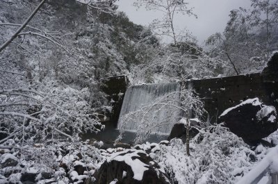 Fuyam Four seasons | Photographs | Taiwan Fuyam Tourist Home | Lala Mountain  | R-4-25051420054.jpg