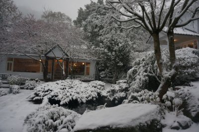 Fuyam Four seasons | Photographs | Taiwan Fuyam Tourist Home | Lala Mountain  | R-4-25051420118.jpg