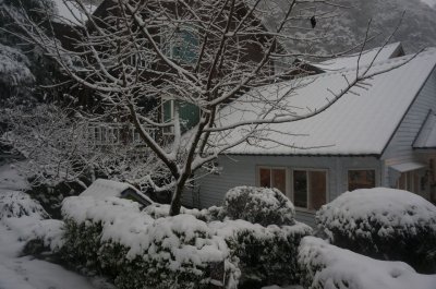Fuyam Four seasons | Photographs | Taiwan Fuyam Tourist Home | Lala Mountain  | R-4-25051420126.jpg