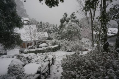 Fuyam Four seasons | Photographs | Taiwan Fuyam Tourist Home | Lala Mountain  | R-4-25051420140.jpg