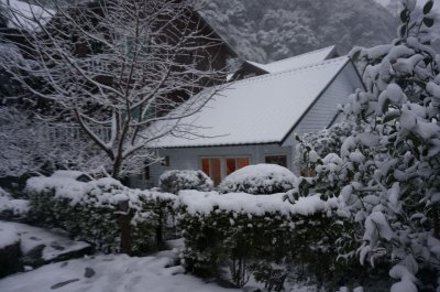 Fuyam Four seasons | Photographs | Taiwan Fuyam Tourist Home | Lala Mountain  | R-4-25051420200.jpg