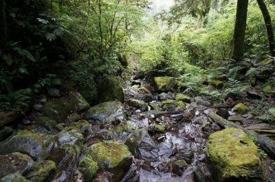 Beautiful scenery | Photographs | Taiwan Fuyam Tourist Home | Lala Mountain  | R-8-25053180727.jpg