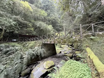 Beautiful scenery | Photographs | Taiwan Fuyam Tourist Home | Lala Mountain  | R-8-26058123953.webp