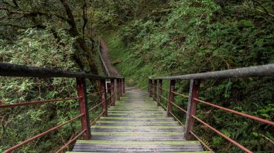Lalashan (Lala mountain) | Photographs | Taiwan Fuyam Tourist Home | Lala Mountain  | R-9-25051585416.jpg