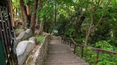 Lalashan (Lala mountain) | Photographs | Taiwan Fuyam Tourist Home | Lala Mountain  | R-9-25051585431.jpg