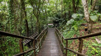 Lalashan (Lala mountain) | Photographs | Taiwan Fuyam Tourist Home | Lala Mountain  | R-9-25051585437.jpg