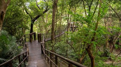 Lalashan (Lala mountain) | Photographs | Taiwan Fuyam Tourist Home | Lala Mountain  | R-9-25051585444.jpg