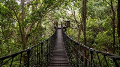 Lalashan (Lala mountain) | Photographs | Taiwan Fuyam Tourist Home | Lala Mountain  | R-9-25051585448.jpg
