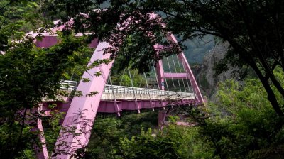 Lalashan (Lala mountain) | Photographs | Taiwan Fuyam Tourist Home | Lala Mountain  | R-9-25051585500.jpg