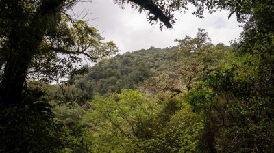 Lalashan (Lala mountain) | Photographs | Taiwan Fuyam Tourist Home | Lala Mountain  | R-9-25051585717.jpg