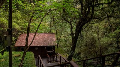 Lalashan (Lala mountain) | Photographs | Taiwan Fuyam Tourist Home | Lala Mountain  | R-9-25051585730.jpg