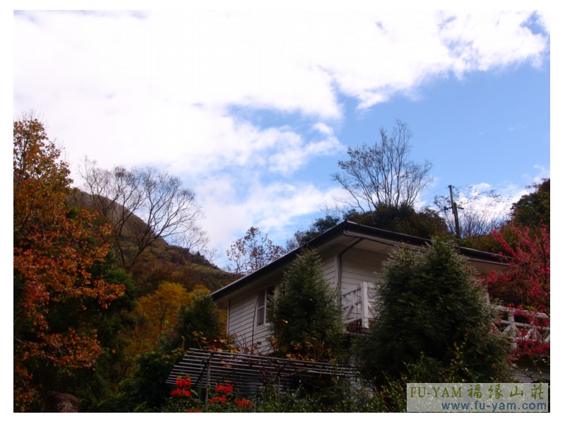 Fuyam surrounding | Photographs | Fuyam Tourist Home | Lala Mountain | 台灣拉拉山民宿福緣山莊 | 001.jpg