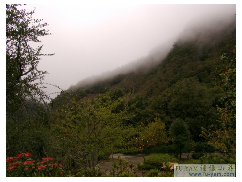 Fuyam surrounding | Photographs | Fuyam Tourist Home | Lala Mountain | 台灣拉拉山民宿福緣山莊 | 005.jpg
