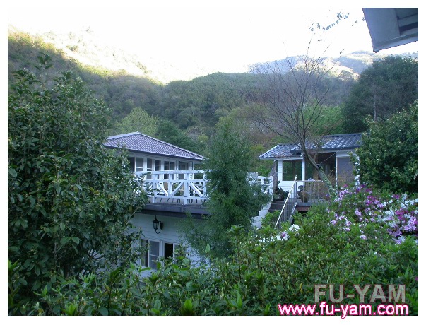 Fuyam surrounding | Photographs | Fuyam Tourist Home | Lala Mountain | 台灣拉拉山民宿福緣山莊 | 007.jpg