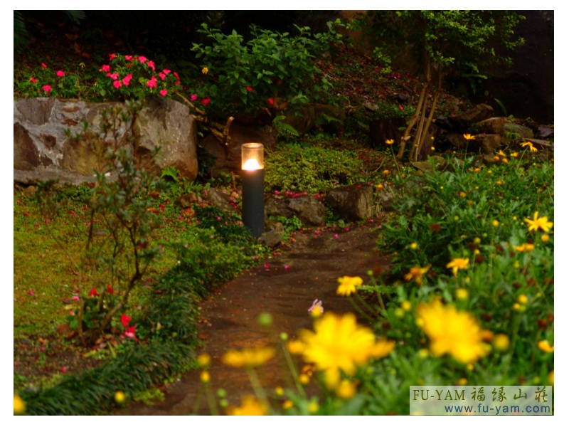 Fuyam flowers | Photographs | Fuyam Tourist Home | Lala Mountain | 台灣拉拉山民宿福緣山莊 | 001.jpg
