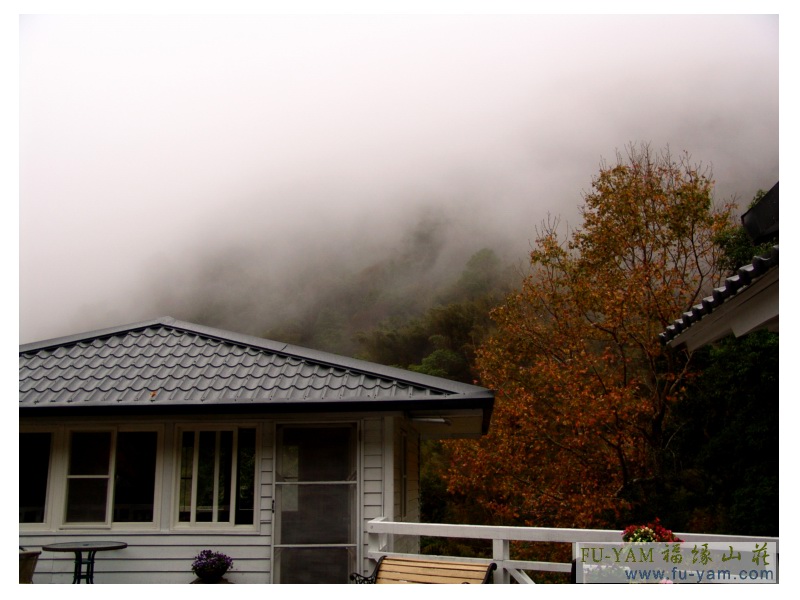 Common area | Photographs | Fuyam Tourist Home | Lala Mountain | 台灣拉拉山民宿福緣山莊 | 003.jpg