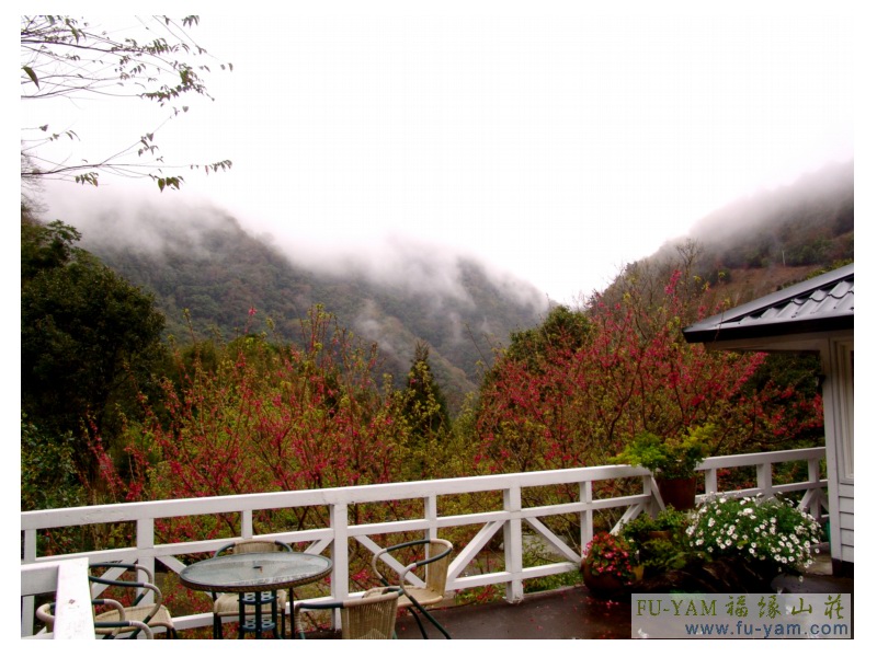 Common area | Photographs | Fuyam Tourist Home | Lala Mountain | 台灣拉拉山民宿福緣山莊 | 005.jpg