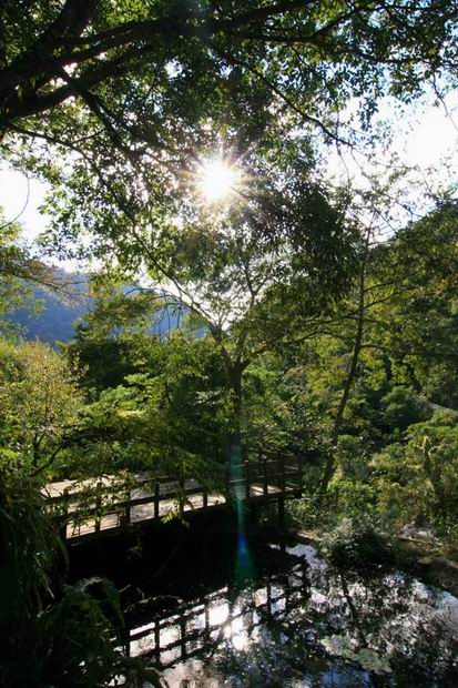 Fuyam Four seasons | Photographs | Fuyam Tourist Home | Lala Mountain | 台灣拉拉山民宿福緣山莊 | 011.jpg