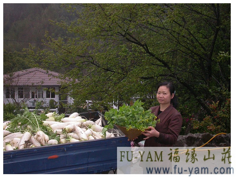 Healthy Eating | Photographs | Fuyam Tourist Home | Lala Mountain | 台灣拉拉山民宿福緣山莊 | 002.jpg