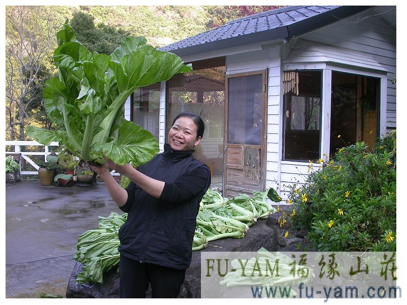 Healthy Eating | Photographs | Fuyam Tourist Home | Lala Mountain | 台灣拉拉山民宿福緣山莊 | 008.jpg