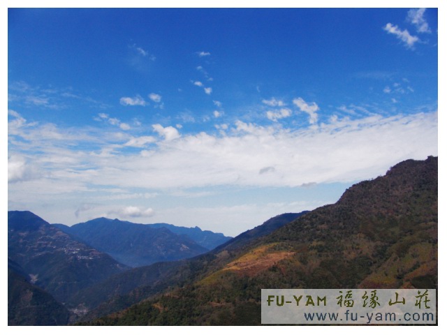 Beautiful scenery | Photographs | Fuyam Tourist Home | Lala Mountain | 台灣拉拉山民宿福緣山莊 | 008.jpg