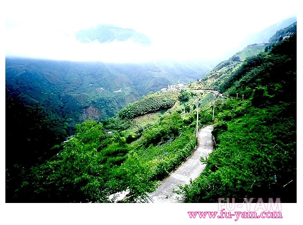 Beautiful scenery | Photographs | Fuyam Tourist Home | Lala Mountain | 台灣拉拉山民宿福緣山莊 | 011.jpg