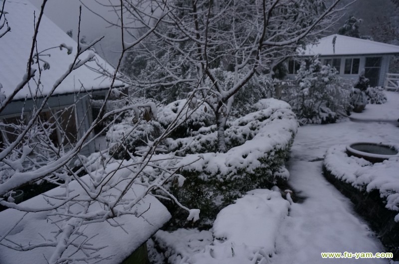 Snowed | Photographs | Fuyam Tourist Home | Lala Mountain | 台灣拉拉山民宿福緣山莊 | DSC02151.JPG