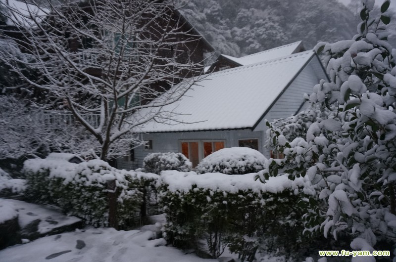 Snowed | Photographs | Fuyam Tourist Home | Lala Mountain | 台灣拉拉山民宿福緣山莊 | DSC02160.JPG