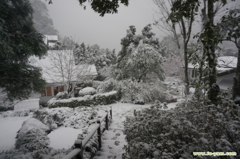 Snowed | Photographs | Fuyam Tourist Home | Lala Mountain | 台灣拉拉山民宿福緣山莊 | DSC02196.JPG