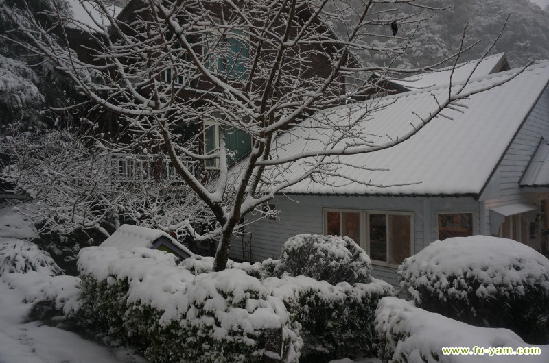 Snowed | Photographs | Fuyam Tourist Home | Lala Mountain | 台灣拉拉山民宿福緣山莊 | DSC02230.JPG