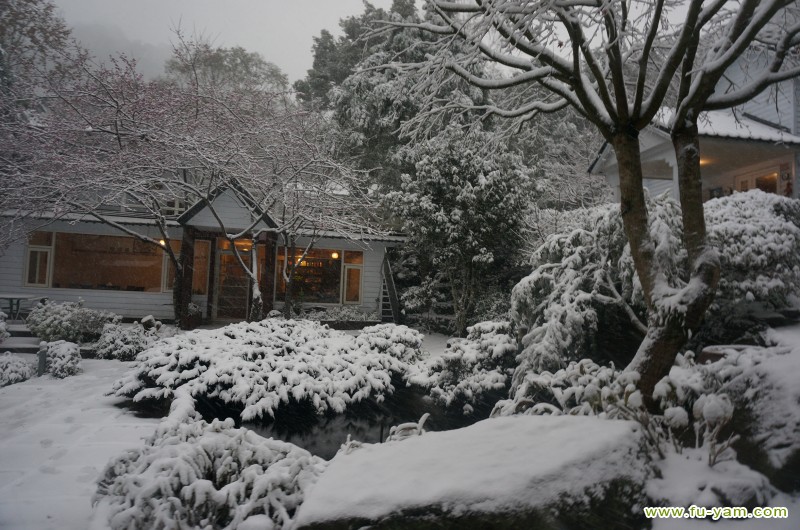 Snowed | Photographs | Fuyam Tourist Home | Lala Mountain | 台灣拉拉山民宿福緣山莊 | DSC02265.JPG