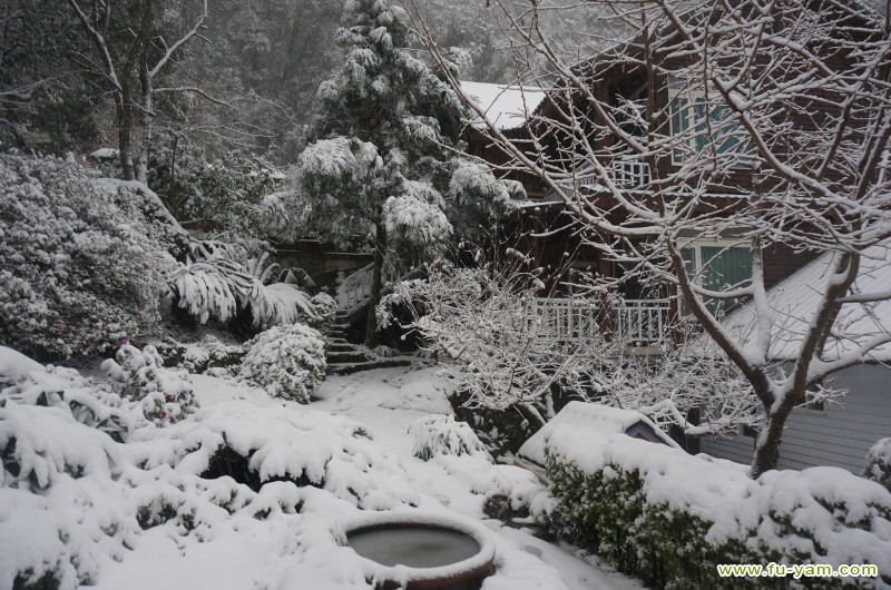 Snowed | Photographs | Fuyam Tourist Home | Lala Mountain | 台灣拉拉山民宿福緣山莊 | DSC02351.JPG