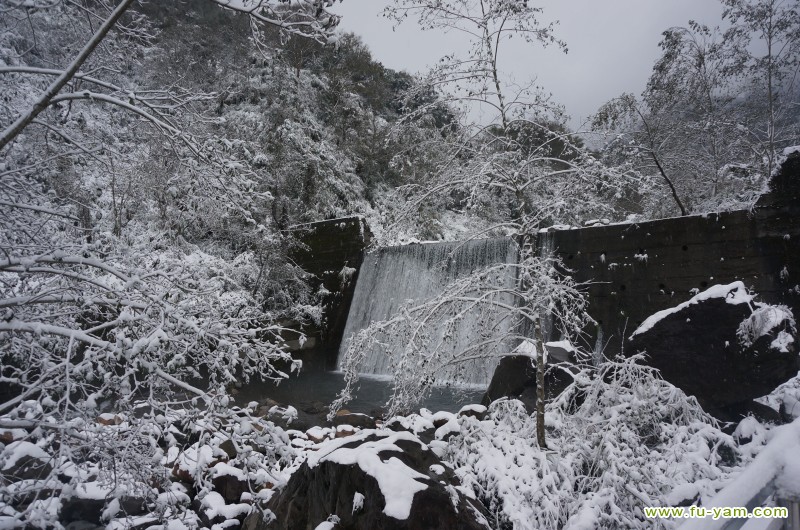 Snowed | Photographs | Fuyam Tourist Home | Lala Mountain | 台灣拉拉山民宿福緣山莊 | DSC02407.JPG