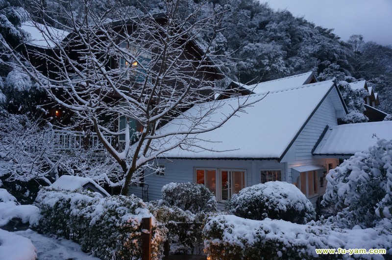 Snowed | Photographs | Fuyam Tourist Home | Lala Mountain | 台灣拉拉山民宿福緣山莊 | DSC02412.JPG
